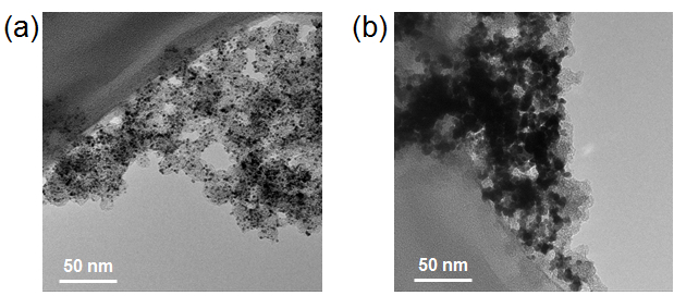 figure-results-2 Nanoparticle TEM images; material morphology comparison; scale bar 50 nm; electron microscopy.