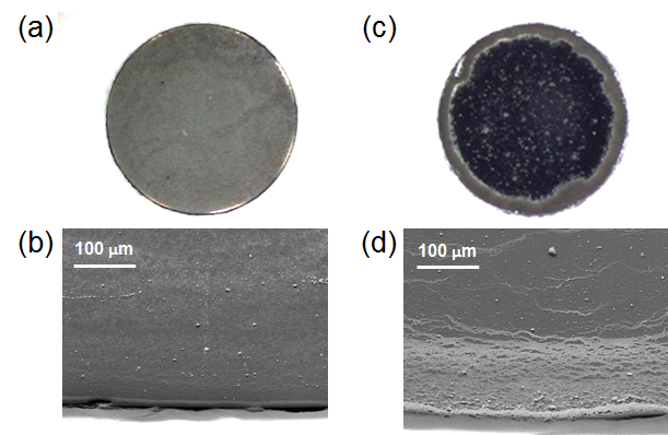 figure-results-4 SEM microstructure analysis of two coated surfaces at 100 µm, showing surface texture differences.