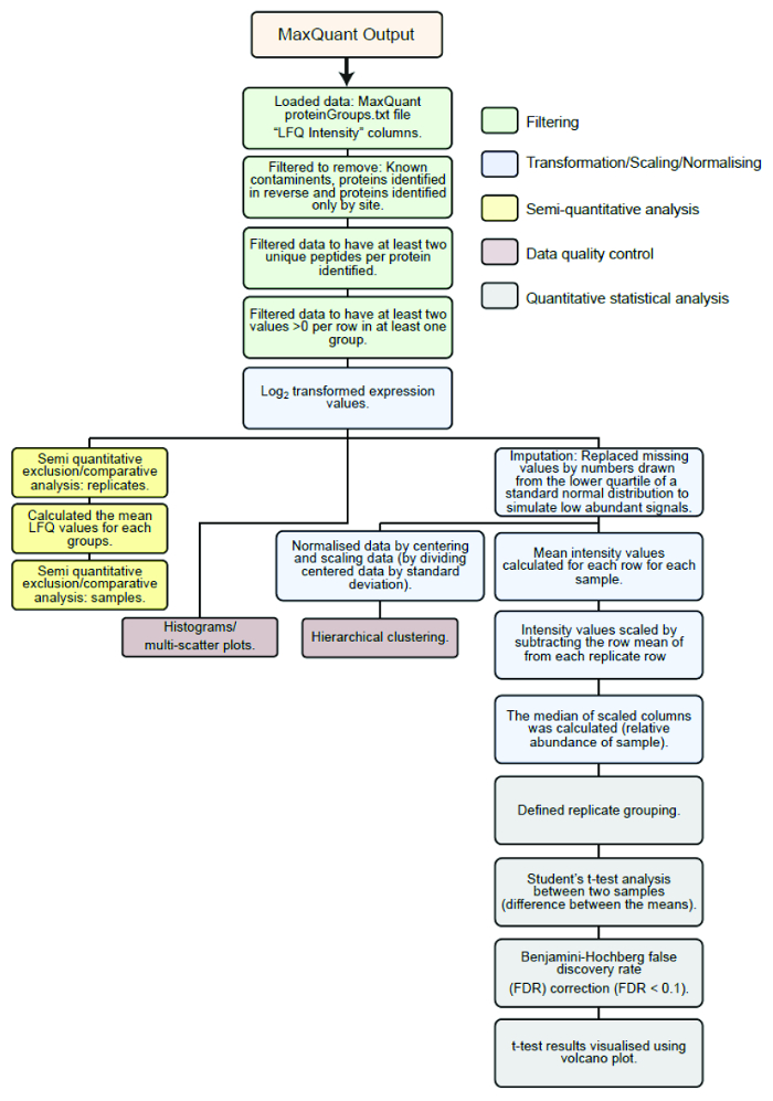 MaxQuant data analysis workflow diagram: filtering, scaling, statistical tests, volcano plot.