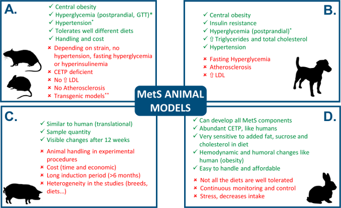 figure-introduction-1 Metabolic syndrome animal models comparison chart showing various traits and characteristics.