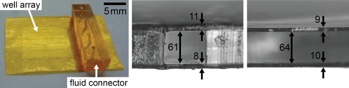 Microfluidic device diagram; shows well array, fluid connector, dimensional analysis, 5mm scale.