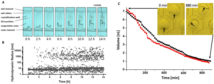 Crystallization process diagram, hydrodynamic radius graph, volume vs. time chart.