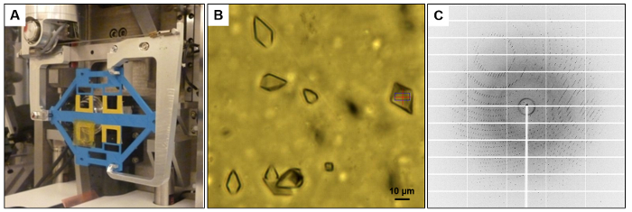 X-ray crystallography setup, protein crystals, diffraction pattern. Analysis of protein structures.