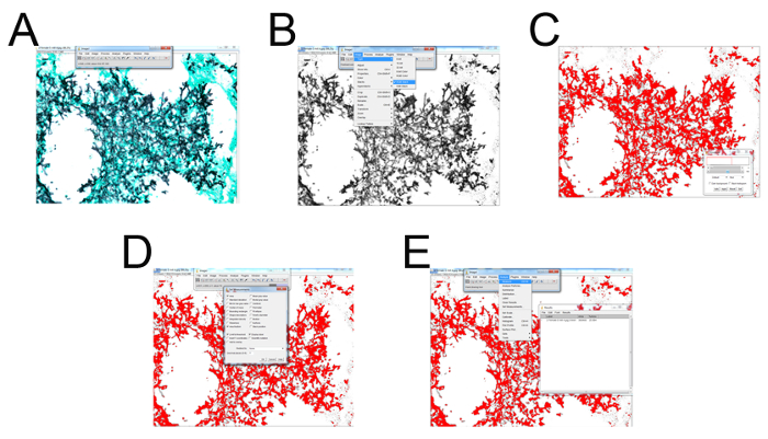 Color-coded image processing steps; A-E image filters applied sequentially; data analysis shown.