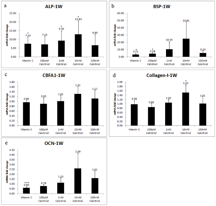 figure-results-4 Gene expression analysis, mRNA fold change bar graphs: ALP, BSP, CBFA1, Collagen-I, OCN; different treatments.