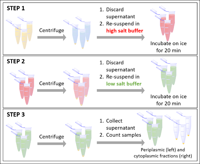 figure-results-5
