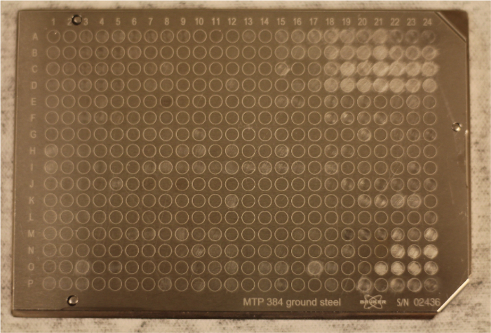 figure-results-2 Microplate diagram for high-throughput screening; 384-well plate in laboratory research settings.