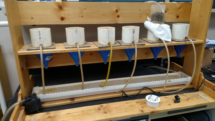 Soil filtration experiment setup with funnels and pipes; demonstrating erosion and permeability analysis.