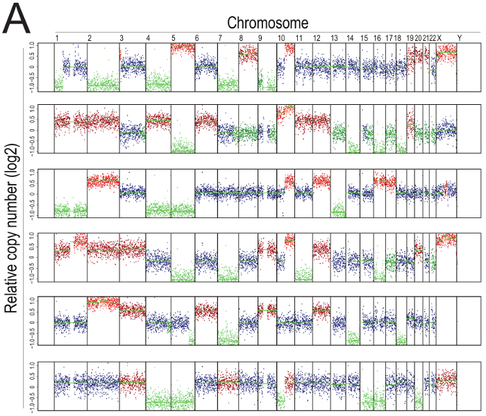 figure-results-2 Chromosome copy number variation diagram, log2 data, genomic analysis, relative copy number chart.