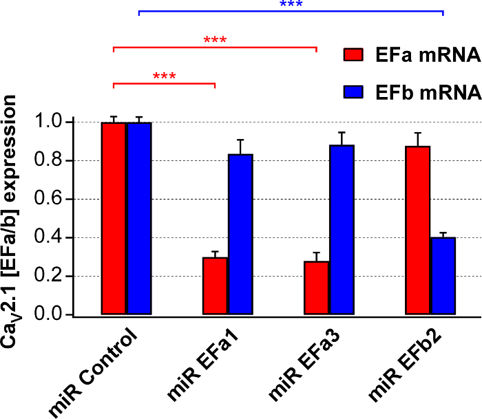Bar graph comparing EFa and EFb mRNA expression in miR conditions; statistical significance shown.
