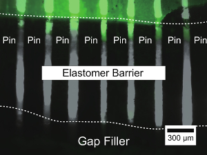 figure-results-3 Microfluidic elastomer barrier with pins and gap filler, experimental setup, microscopy scale.