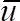figure-protocol-24