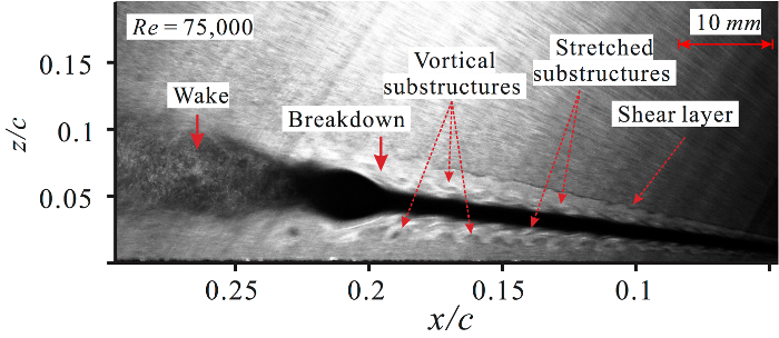 Experimental Investigation of the Flow Structure over a Delta Wing Via ...