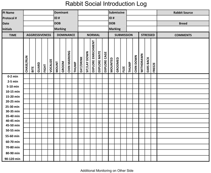 Rabbit social introduction log chart tracking behaviors in time intervals, used for behavioral analysis.