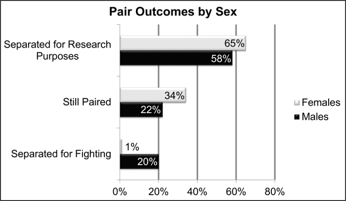 Sex-based pair outcomes bar chart; categories: research separation, pairing, fighting separation.