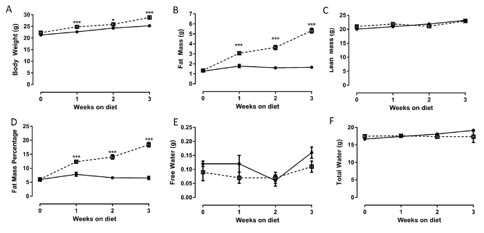Body Composition and Metabolic Caging Analysis in High Fat Fed Mice