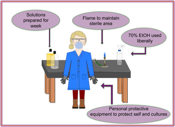 figure-protocol-2