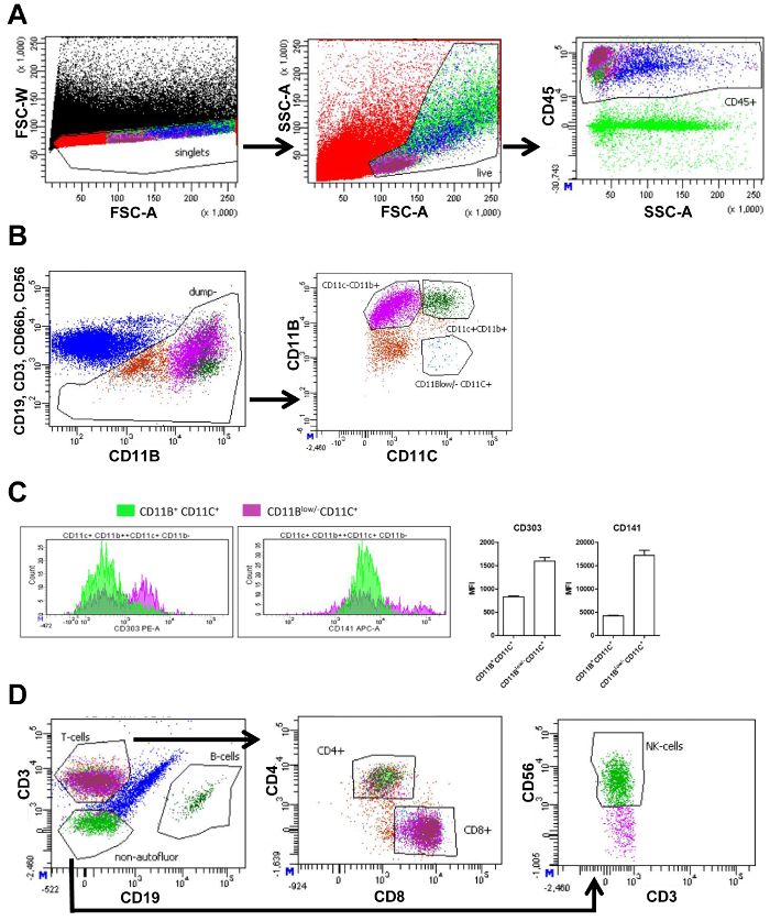 Flow cytometry analysis diagrams; immune cell identification using CD markers; scatter plots and histogram.