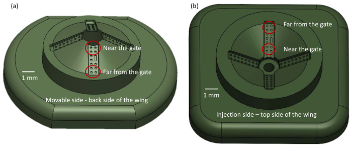 figure-protocol-2 Static equilibrium diagram; mechanical wing; injection, movable sides labeled; scale 1 mm; engineering.