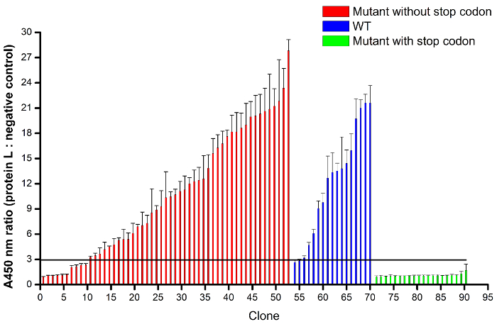 figure-results-8 Protein expression comparison chart; A450 nm ratio; mutant vs WT analysis; clone results.