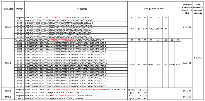 figure-results-9 Target CDRs mutagenesis table; primer sequences, amino acid diversity, mutation sites listed.