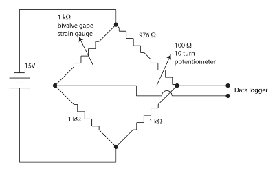 Bridge circuit diagram with strain gauge, potentiometer; used for measuring electrical resistance changes.
