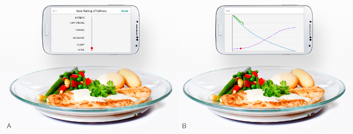 Smart plate concept; dietary tracking with app interface; graph analysis, smartphone integration.