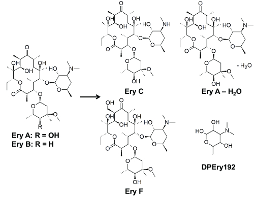 figure-results-7 Chemical transformation diagram; erythromycin derivatives Ery C, Ery A-H2O, Ery F, DPEry192 structures.