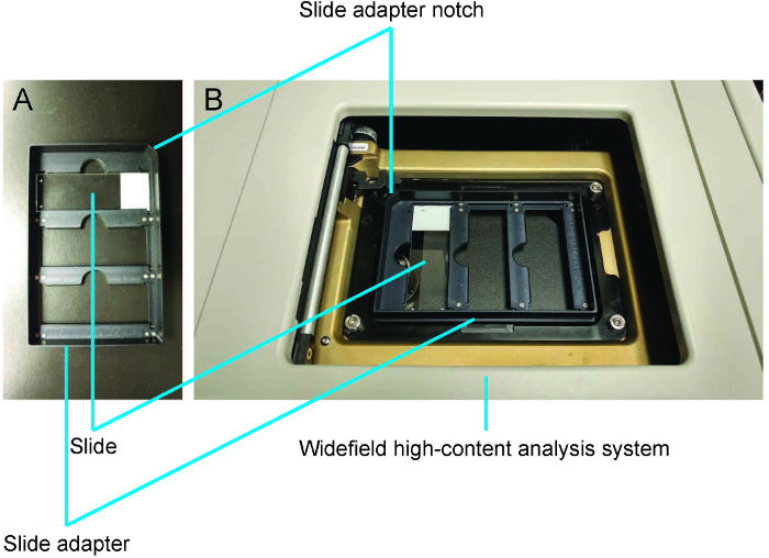 figure-results-3 Widefield high-content analysis system diagram with slide adapter for microscopy setup.
