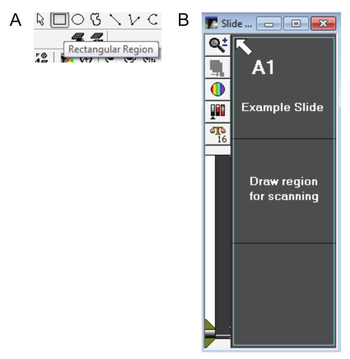 figure-results-5 Microscopy software interface, rectangular region selection, scan setup diagram for slide analysis.