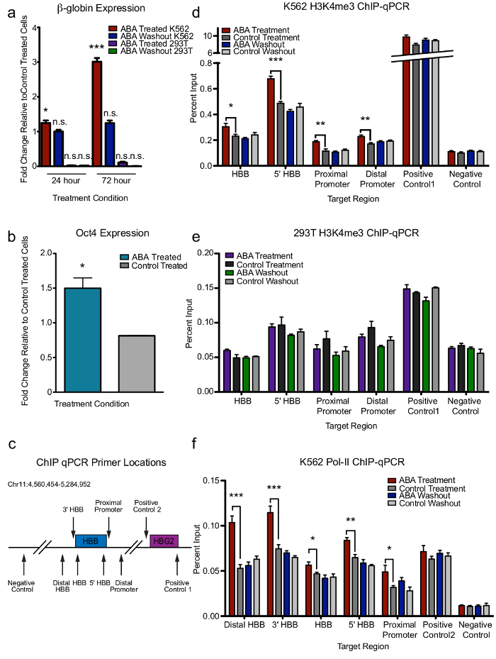 Gene expression analysis; qPCR results; graphs and diagrams; β-globin, Oct4, H3K4me3, Pol-II.