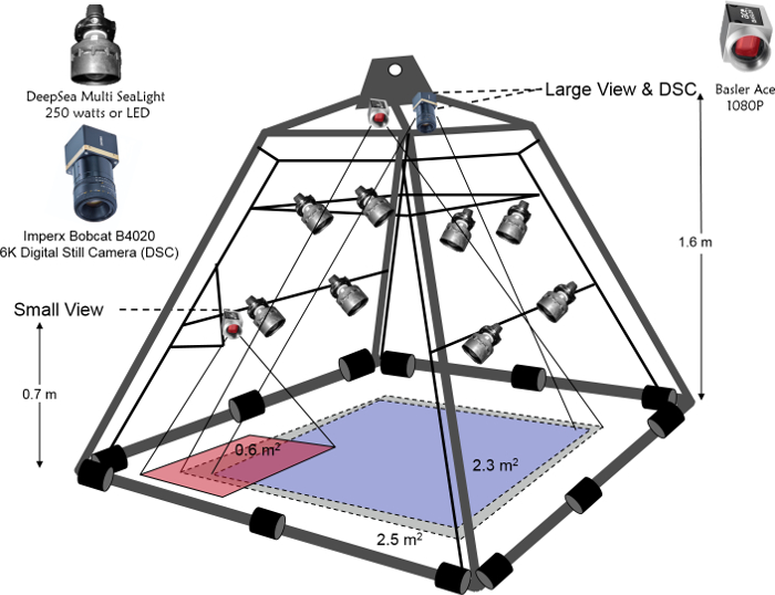 Underwater imaging system diagram with lighting and camera setup for large area monitoring.
