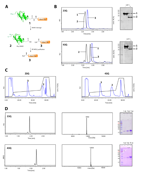 figure-results-2