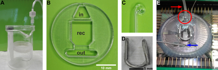 Microfluidic device assembly diagram with channels; in, rec, out; fluid transport study.
