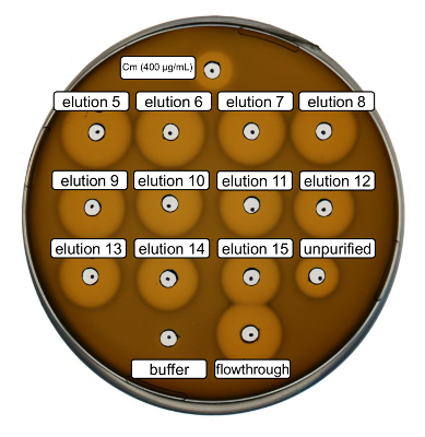 figure-results-1