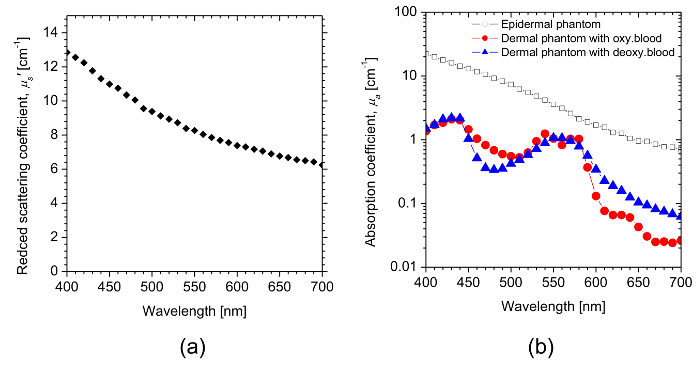 figure-results-4 Wavelength vs. scattering and absorption, graph (a) μ's vs. wavelength, (b) μa; spectroscopic analysis.