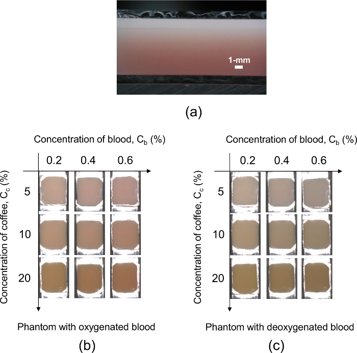 figure-results-5 Blood and coffee concentration experiment; absorption results in phantom media.