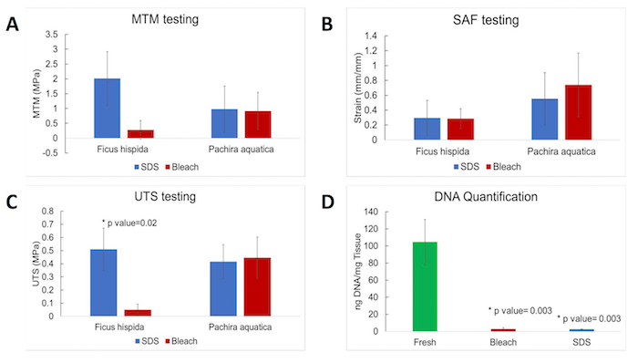 MTM, SAF, UTS test bar graphs; DNA quantification; statistical analysis; Ficus hispida vs. Pachira aquatica.