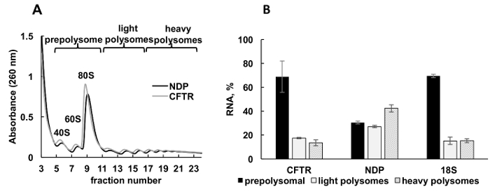 figure-results-3 Polysome profiling graph, RNA absorbance and distribution chart for CFTR and NDP analysis