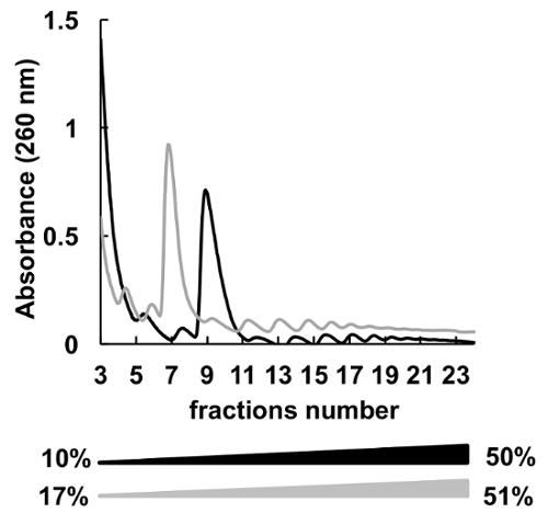 figure-results-5 Fractionation; absorbance (260 nm) graph; protein purification analysis; chromatographic results.
