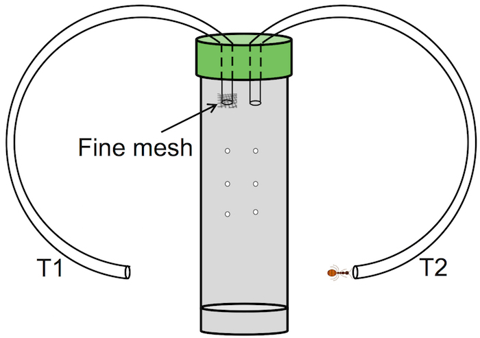 figure-results-1 Experimental setup diagram of a meshed tube with T1 and T2 in chromatography system.
