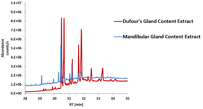 figure-results-12 Chromatography graph; Dufour's vs Mandibular gland extracts; peak comparison, retention time analysis.