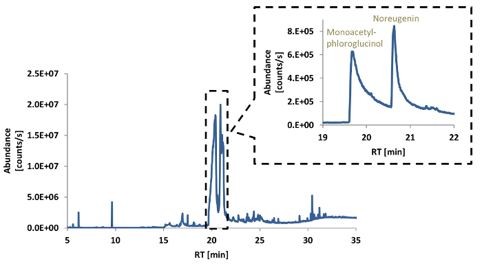 figure-results-5 Chromatography graph, showing compound abundance vs. retention time, highlighting Noreugenin peaks.