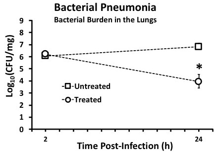 Bacterial pneumonia graph; CFU burden over time; untreated vs. treated; results at 2, 24 hours.