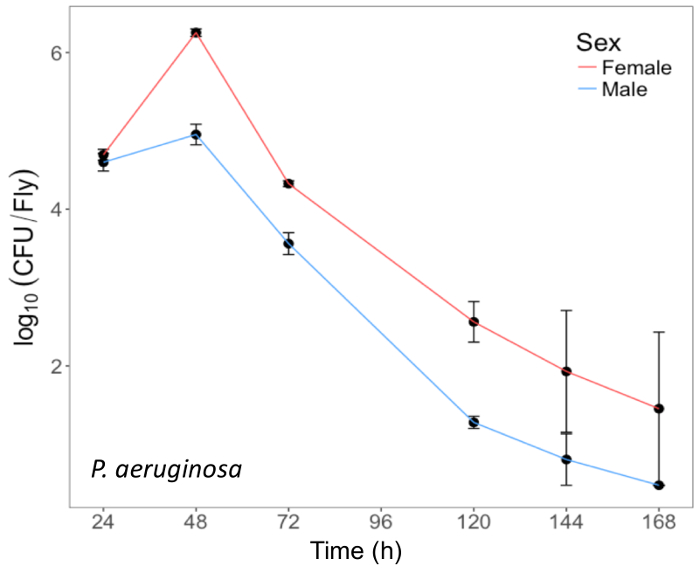 Bacterial load reduction graph, CFU vs. time, P. aeruginosa, male vs. female, experimental results.