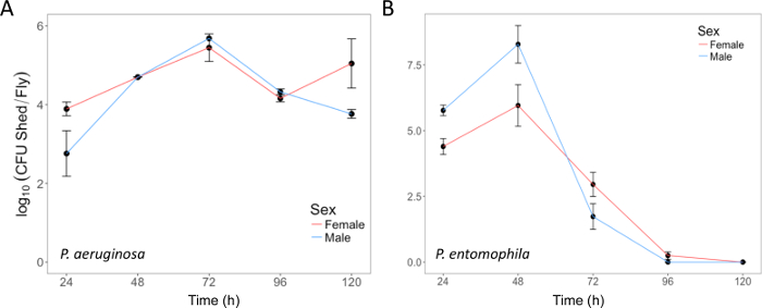 Bacterial shedding line graphs P. aeruginosa and P. entomophila; CFU vs. time in male and female flies.