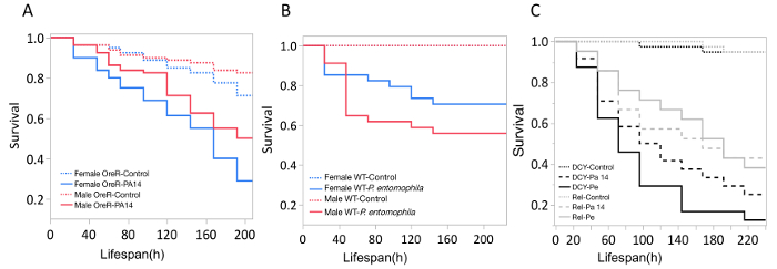 Lifespan and survival analysis charts comparing control and treated groups over time.
