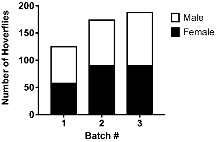 figure-results-2 Hoverfly count bar chart; male vs. female across three batches, quantitative comparison.