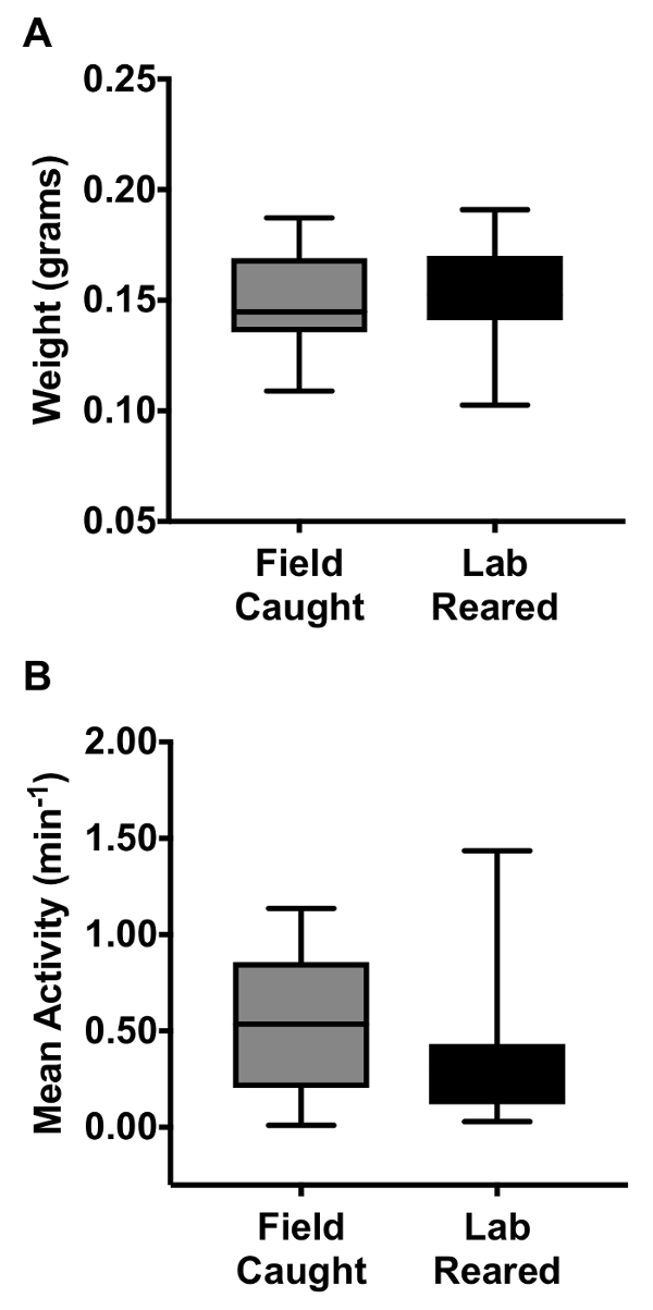 figure-results-3 Box plots comparing weight and mean activity of field-caught and lab-reared specimens.
