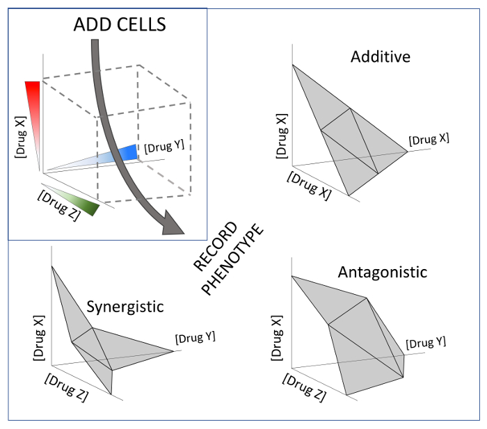 figure-results-3 Drug interaction analysis; 3D diagrams show additive, synergistic, antagonistic effects on cells.